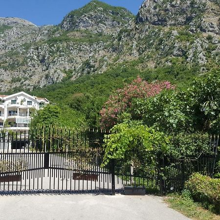 Roman Gardens Studio Apartment Risan Buitenkant foto